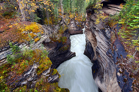 阿塔巴斯卡瀑布峡谷     加拿大图片