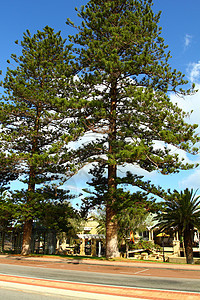 澳大利亚Perth海滩城市自行车小路太阳办公室景观绿地海洋公园晴天图片