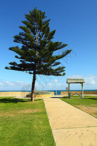 澳大利亚Perth海滩办公室晴天天气太阳商业绿地摩天大楼市中心棕榈自行车图片
