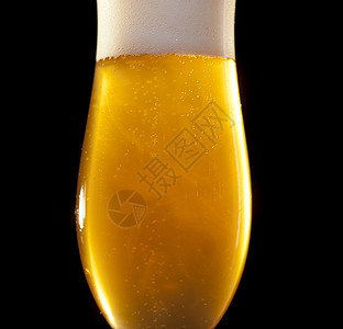 杯子里的金发啤酒图片