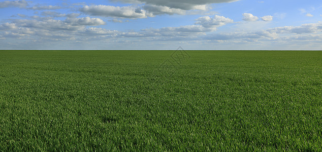 绿野季节农村地平线农田文化谷物蓝色风景草地云景图片