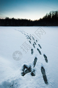 雪上湿脚印图片
