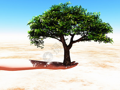 树绿色木头环境生态插图背景图片