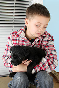男孩和小狗蓝色孩子格子男生窗户动物宠物童年男性哺乳动物图片