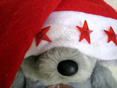 桑塔熊配件季节性季节星星红色图片