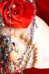 罗斯情人节玫瑰花瓣珍珠红色贝壳项链珠子首饰细绳手镯珠饰图片