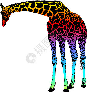 giraffe - 矢量抽象彩虹图片