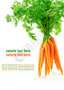 带绿叶的新鲜胡萝卜水果 白底孤立白色营养蔬菜食物叶子绿色收成橙子果汁图片