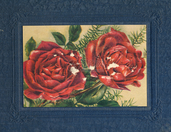 古老相册覆盖玫瑰背景的背景图片