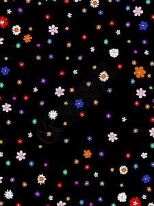黑色的花朵植物群背景图片