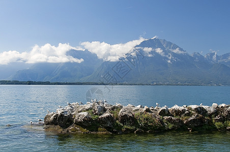 日内瓦湖的地貌景观图片
