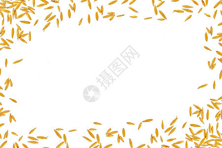 燕麦的边框图片