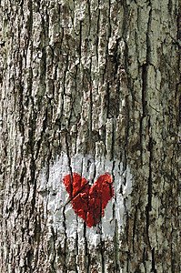 爱心木头创造力红色艺术涂鸦艺术品乡村背景图片