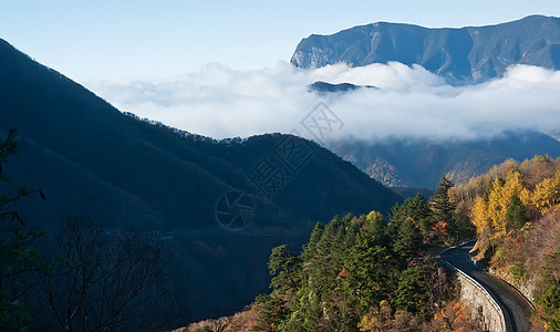中国湖北山峰 树林 云 被夺去森林树木松树山脉旅游图片
