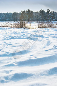 下雪地图片