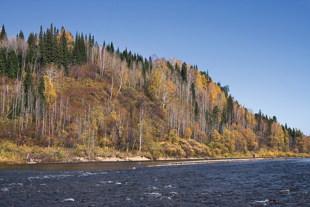 钓鱼诱饵森林绿色卵石溪流天空场景树木石头叶子蓝色图片
