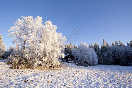 冬季风景太阳荒野天空水晶天气木头晴天场景冻结房子图片