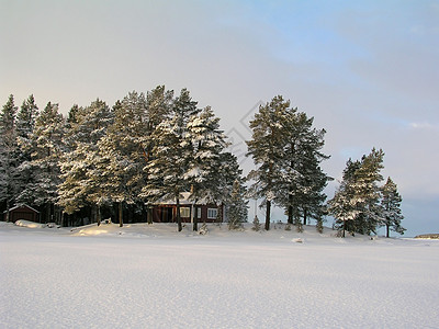 冬季风景荒野晴天阳光木头蓝色天气季节场地阴影冻结图片