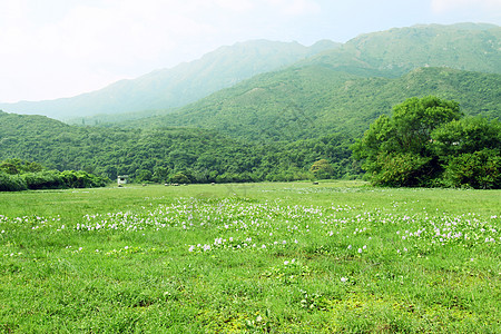 有奶牛的草原牧羊人动物奶制品爬坡阳光农田农民农场干草建筑图片