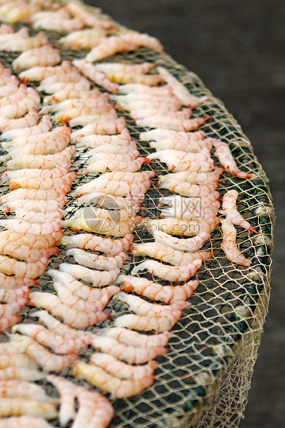 中华文化中的干虾图片