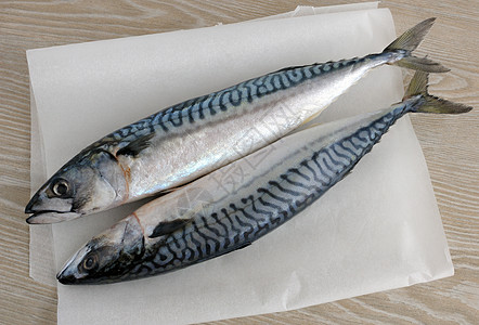 新鲜竹羊皮纸海洋海鲜产品鲭鱼饮食图片