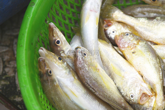 市场上的新鲜鱼销售团体海鲜摊位食物街道厨房午餐眼睛店铺图片