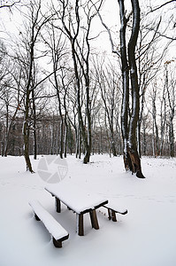 公园中的雪季节长椅木头国家农村白色乡村图片