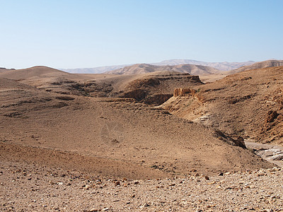 死海附近的荒漠景观峡谷沙丘砂岩岩石棕色石头波浪状环境黄色图片