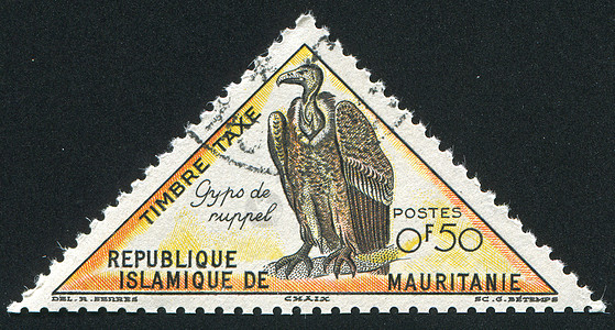 秃鹫历史性捕食者猎物集邮邮票明信片尾巴狮鹫邮戳海豹图片