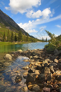 山区流荒野溪流瀑布叶子环境山脉石头流动旅行岩石图片