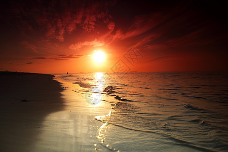 日落在海中金子太阳晴天海洋地平线天空季节热带假期天气图片