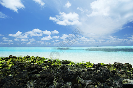 海 海天空太阳浮潜天堂蓝色地平线娱乐异国石头珊瑚图片