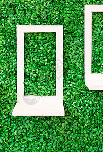 空白边框绿色塑料木头季节性框架白色边界装饰照片角落背景图片