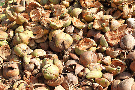 泰国废弃椰子壳的堆积物食物植物市场纤维垃圾水果可可椰子种子棕榈图片