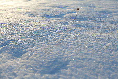 雪地毯白色冻结大雪天气阳光寒意季节雪花闪光水晶图片