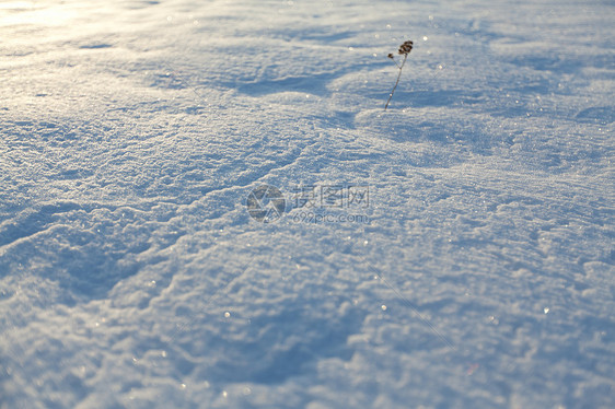 雪地毯白色冻结大雪天气阳光寒意季节雪花闪光水晶图片