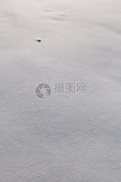 雪地毯阳光季节白色晴天天气冻结雪花寒意闪光大雪图片