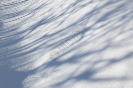 雪地毯白色阴影水晶阳光闪光季节寒意天气晴天冻结图片