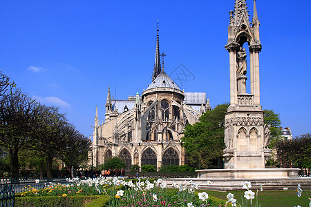巴黎大教堂圣母会寺庙建筑植物群部门精神大教堂贵妇人玫瑰世界花园图片