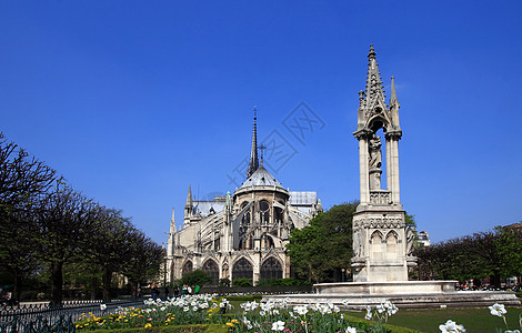 巴黎大教堂圣母会精神花园世界玫瑰历史性香槟旅行大教堂植物群历史图片