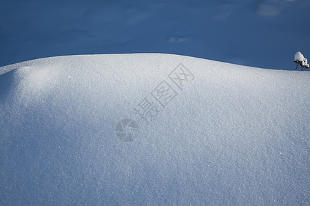 雪地毯阴影阳光雪花晴天闪光寒意水晶白色冻结季节图片