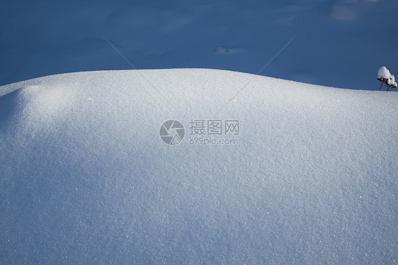 雪地毯阴影阳光雪花晴天闪光寒意水晶白色冻结季节图片