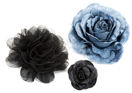 两朵黑色花和一朵蓝色花 从蕾丝上玫瑰背景图片
