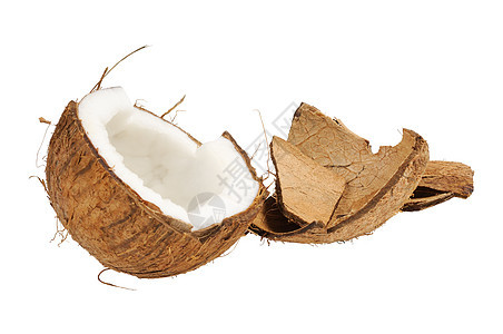 新鲜椰子和椰子壳水果棕色可可白色饮食异国热带棕榈坚果情调图片
