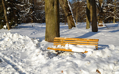 冬季被雪覆盖的黄色公园长椅图片