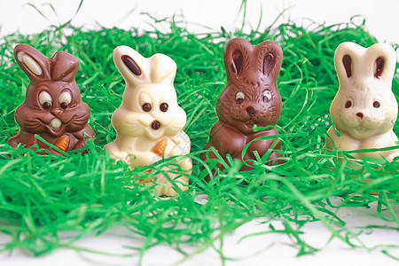 黑白东方兔子和白兔糖果棕色食物甜点巧克力宝宝白色图片