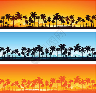 热带热带背景椰树繁荣滚动情调棕榈插图绿色异国元素椰子图片
