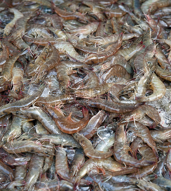鲜虾海鲜食物图片