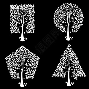 不同几何形状的树植物夹子树叶分支机构植物学硬木风景痕迹艺术树苗图片