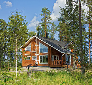 芬兰公园面积的公用房屋小屋村庄住宅房子建筑物公园蓝色住房花园别墅图片